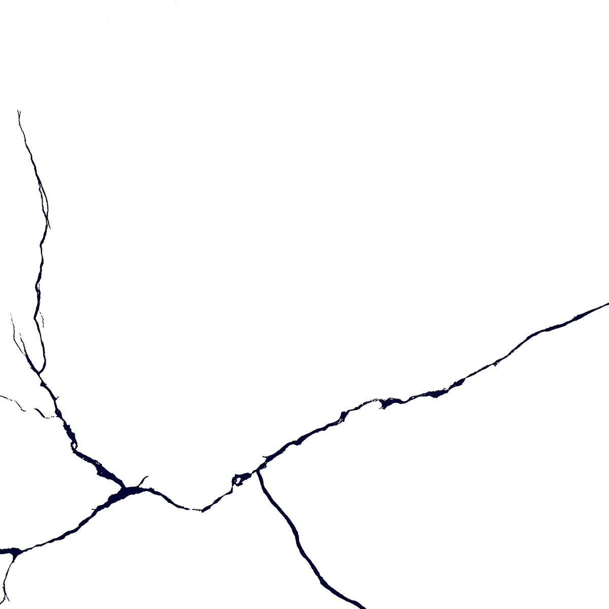 BLACK LINE