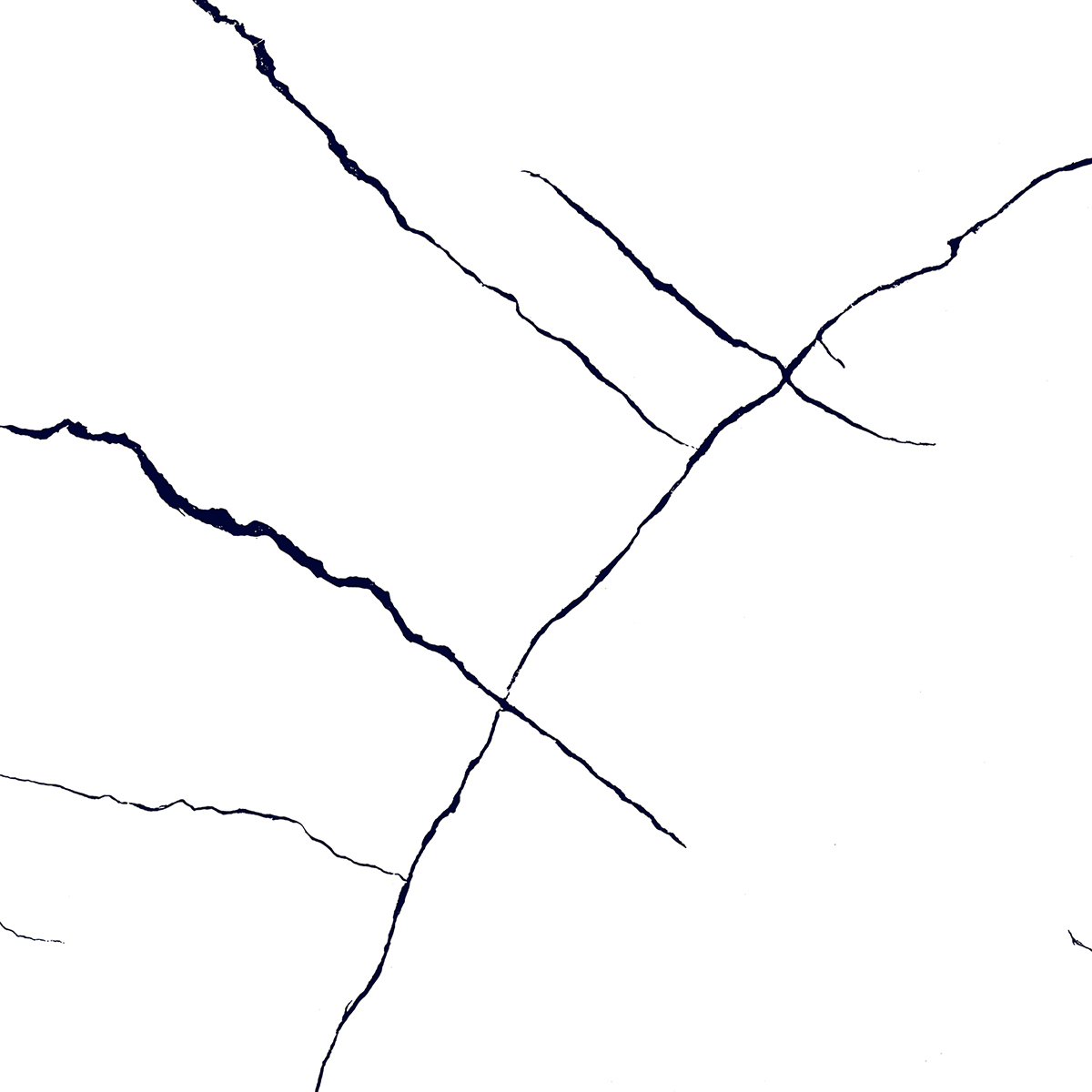 BLACK LINE