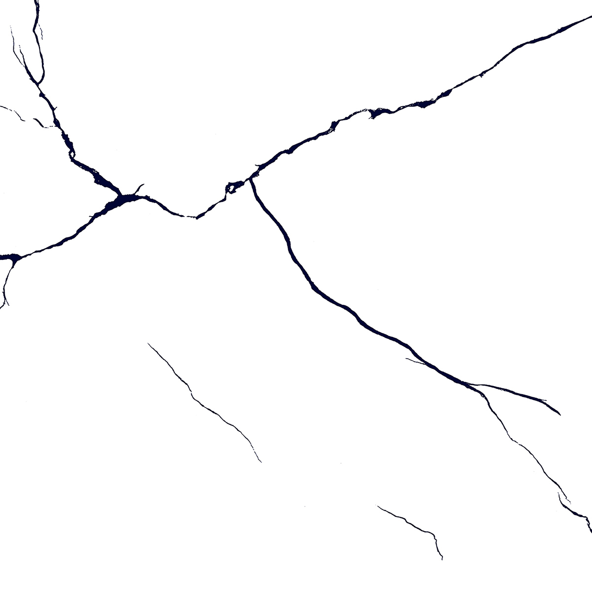 BLACK LINE