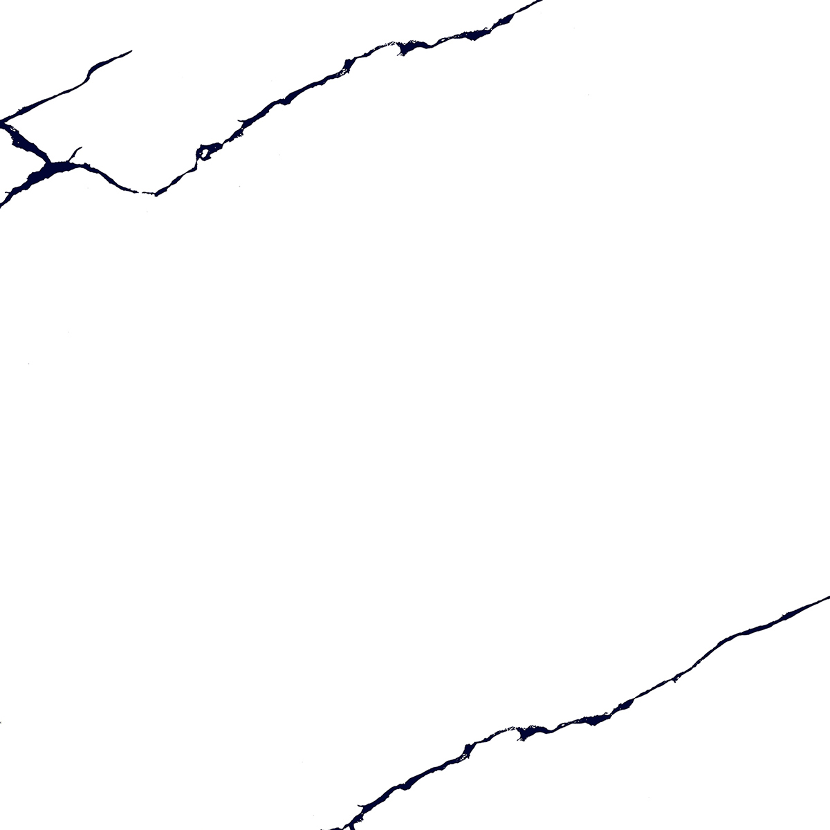 BLACK LINE