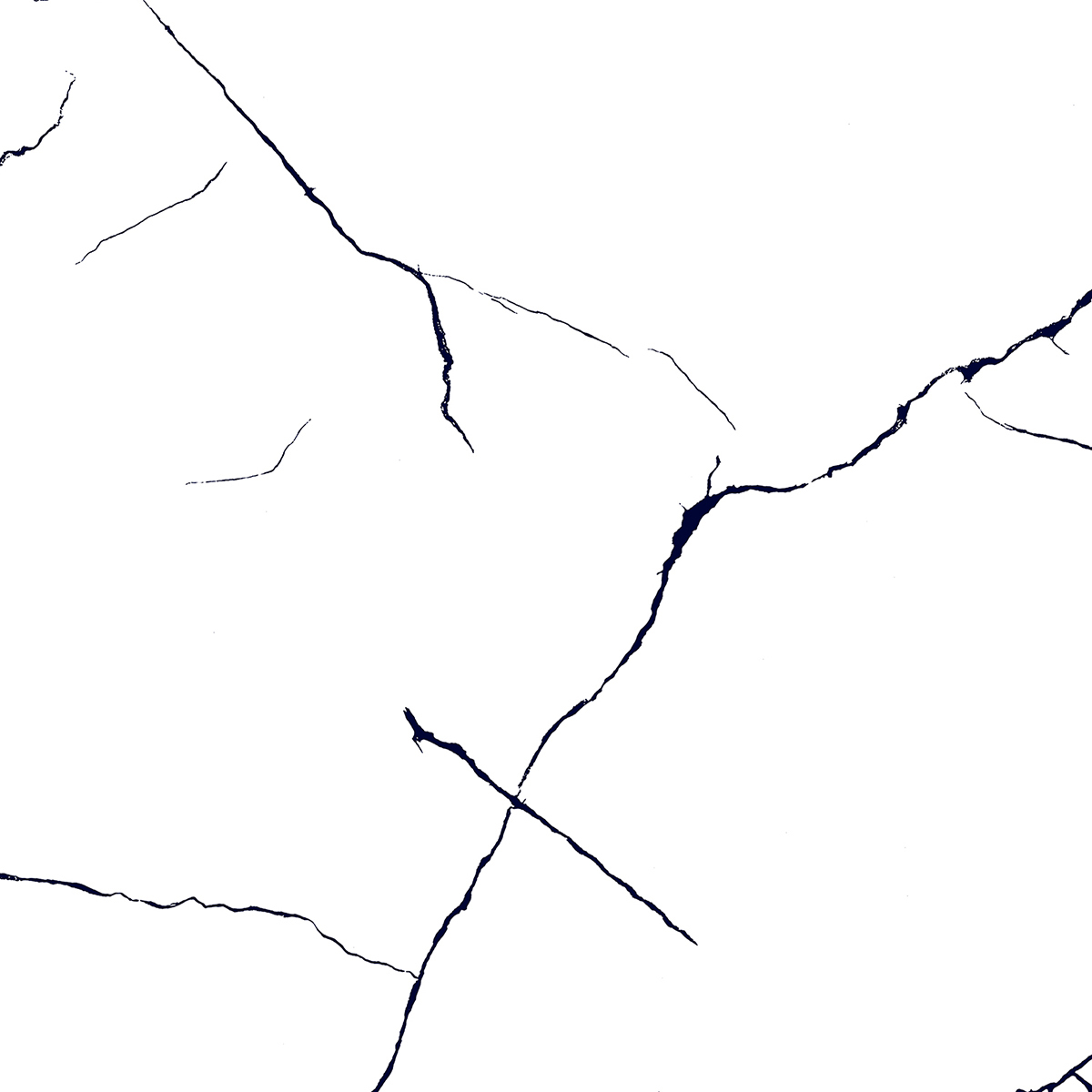 BLACK LINE