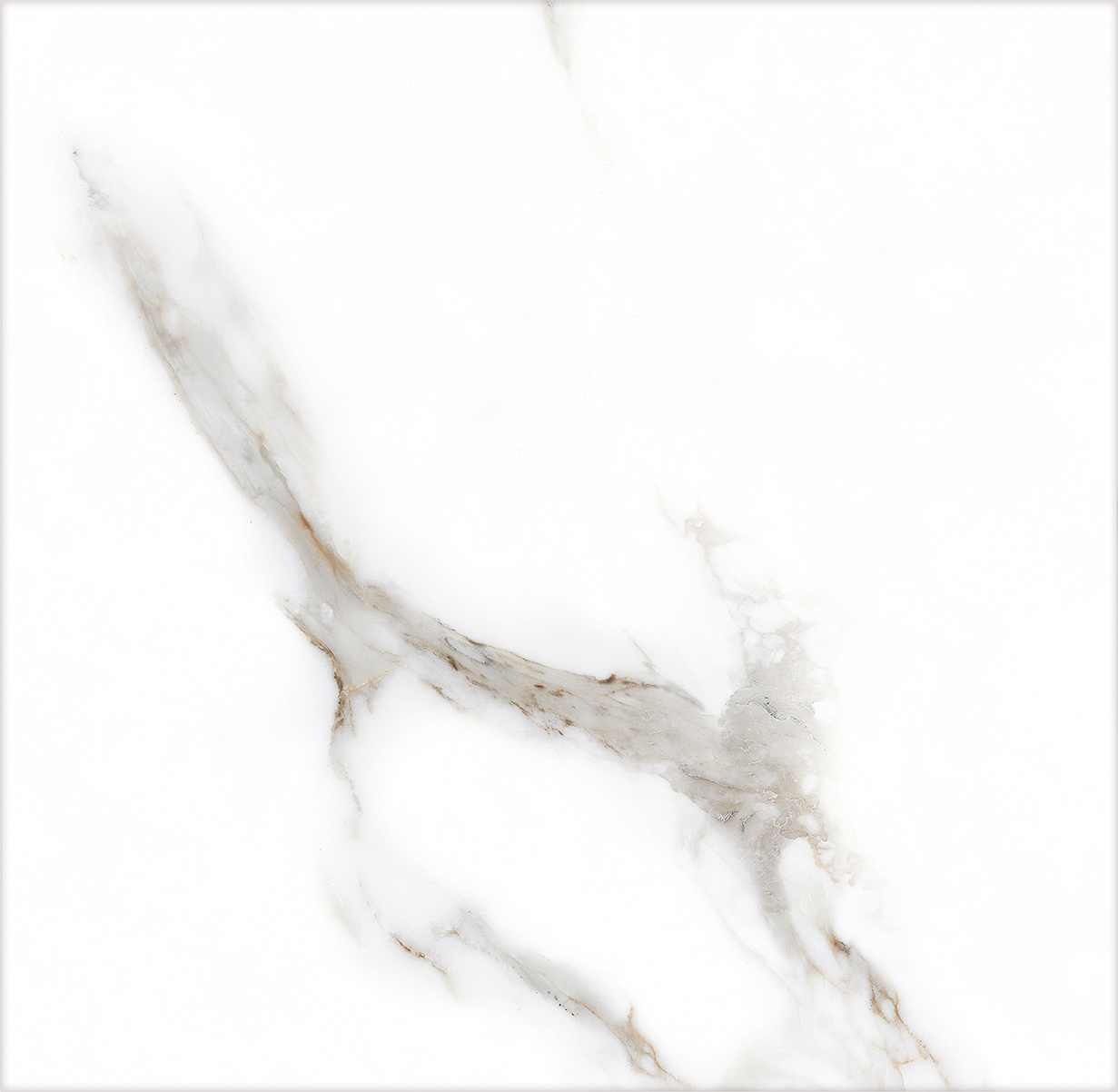 CARARA SILK