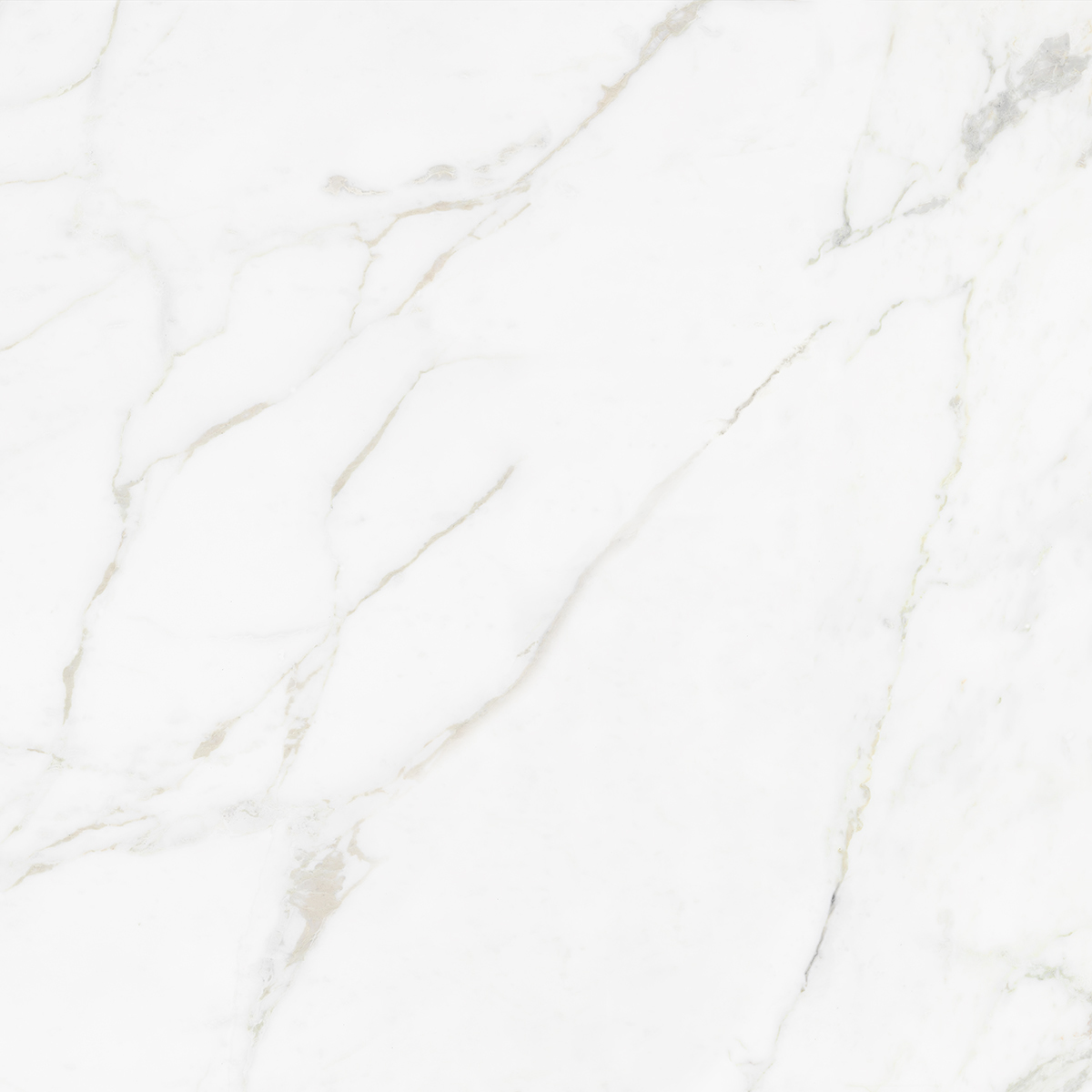 CARRARA BIANCO