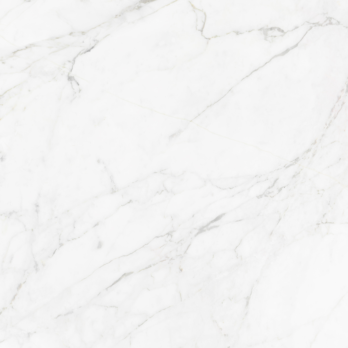 CARRARA BIANCO