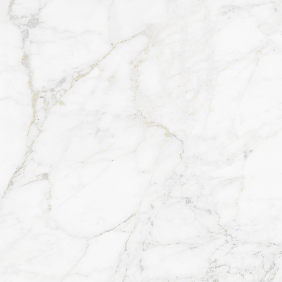 CARRARA BIANCO