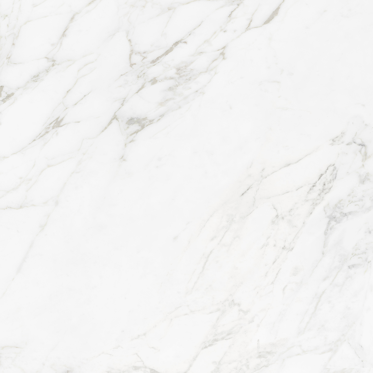 CARRARA BIANCO