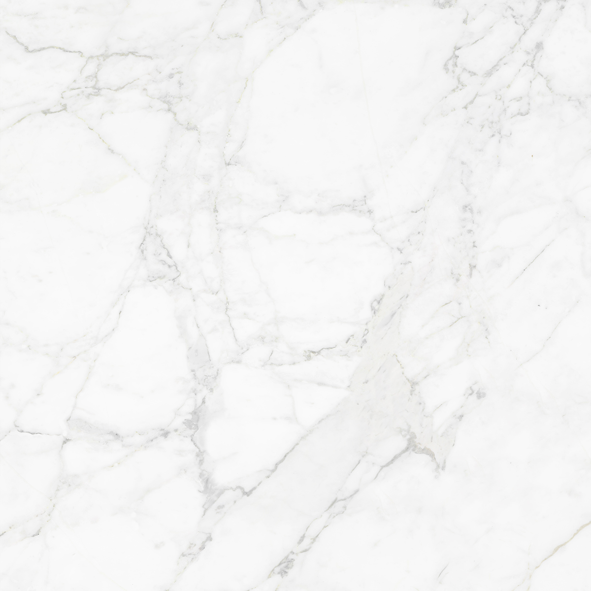 CARRARA BIANCO