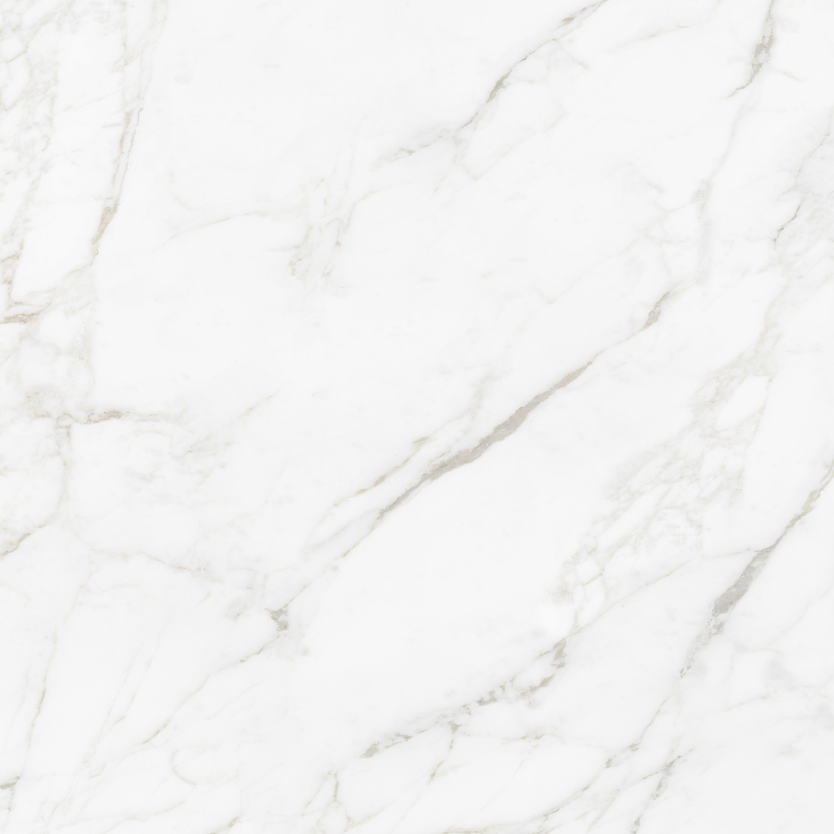 CARRARA BIANCO