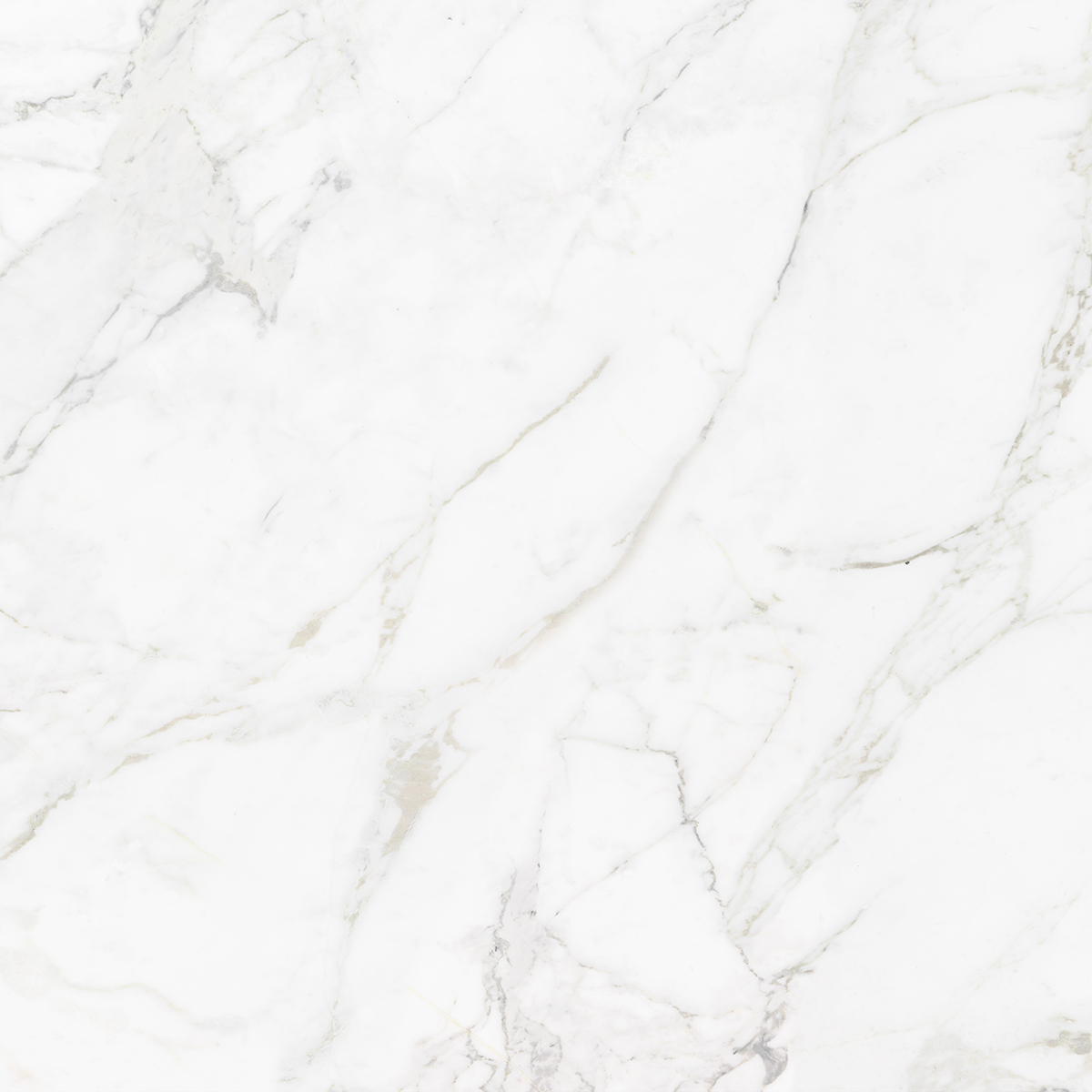 CARRARA BIANCO