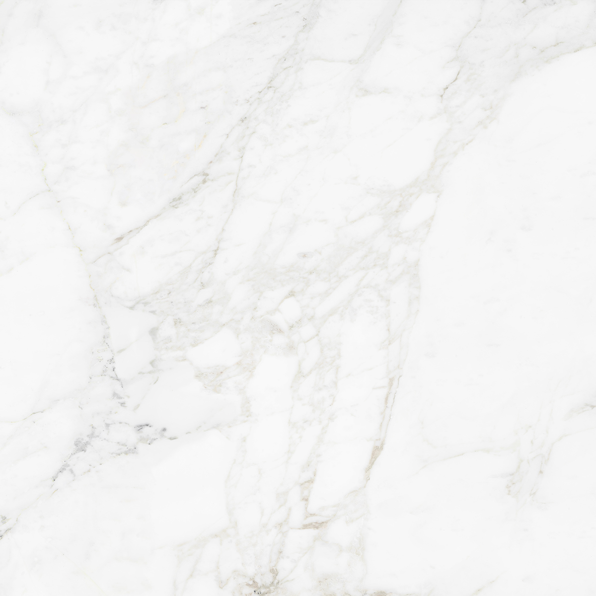CARRARA BIANCO