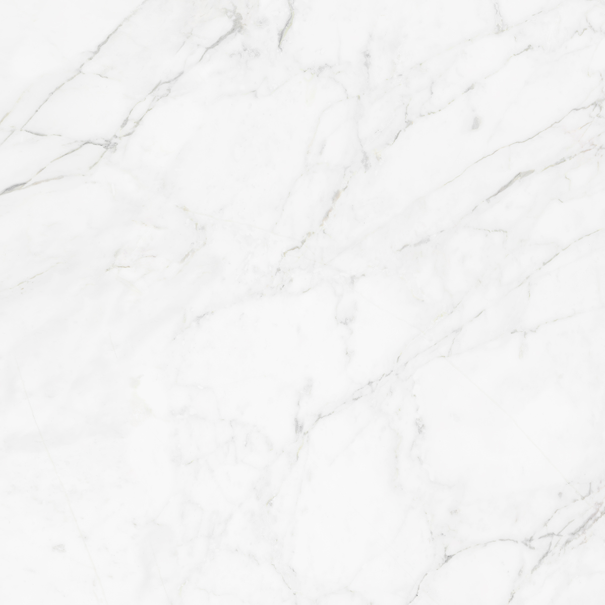 CARRARA BIANCO