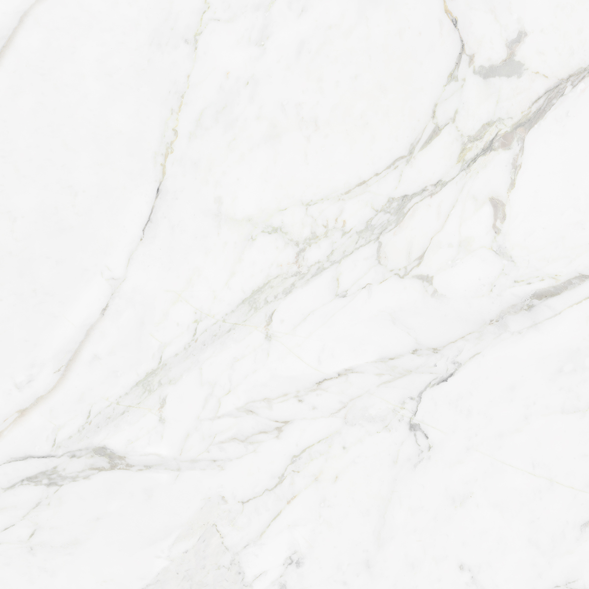 CARRARA BIANCO
