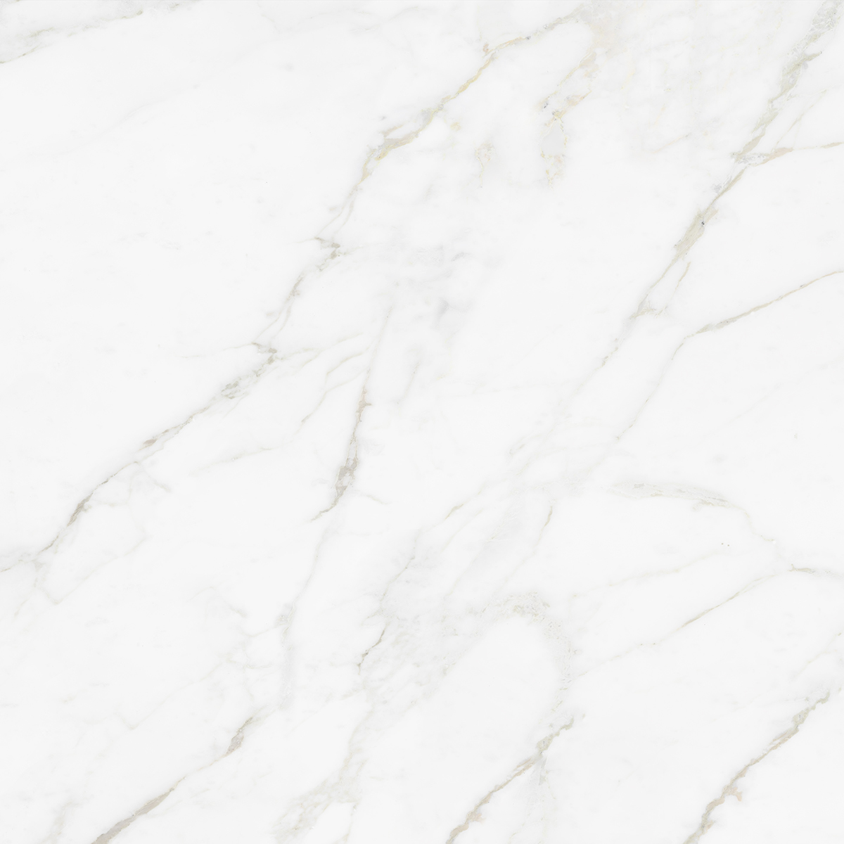 CARRARA BIANCO