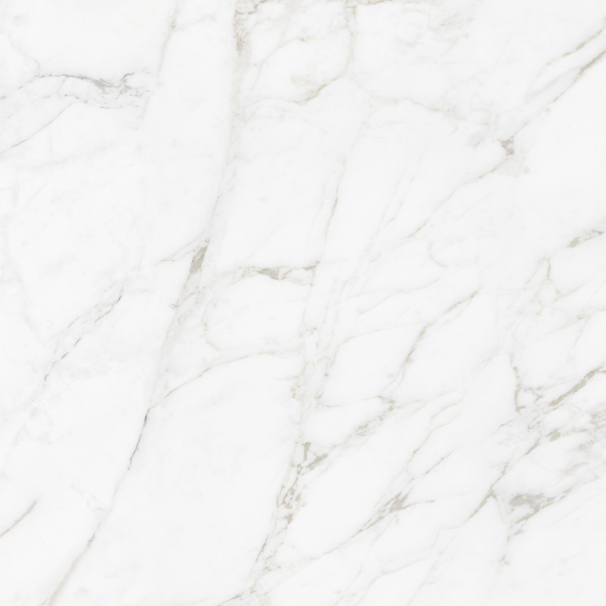 CARRARA BIANCO