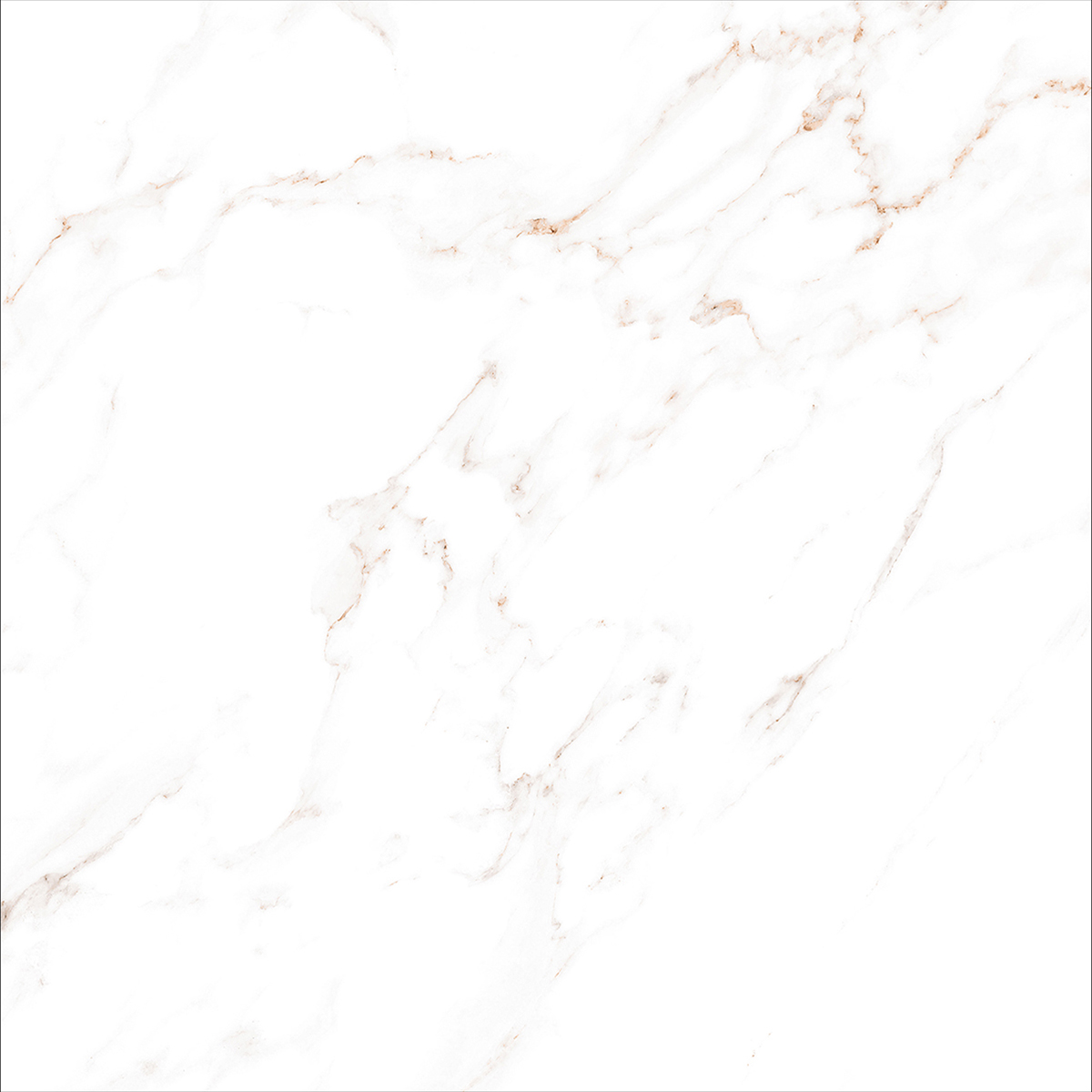 CARRARA VERO