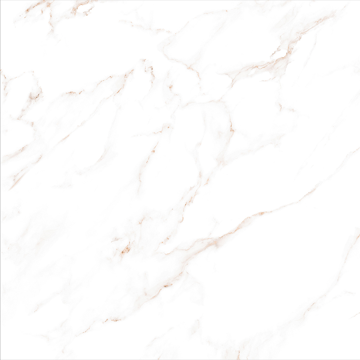 CARRARA VERO