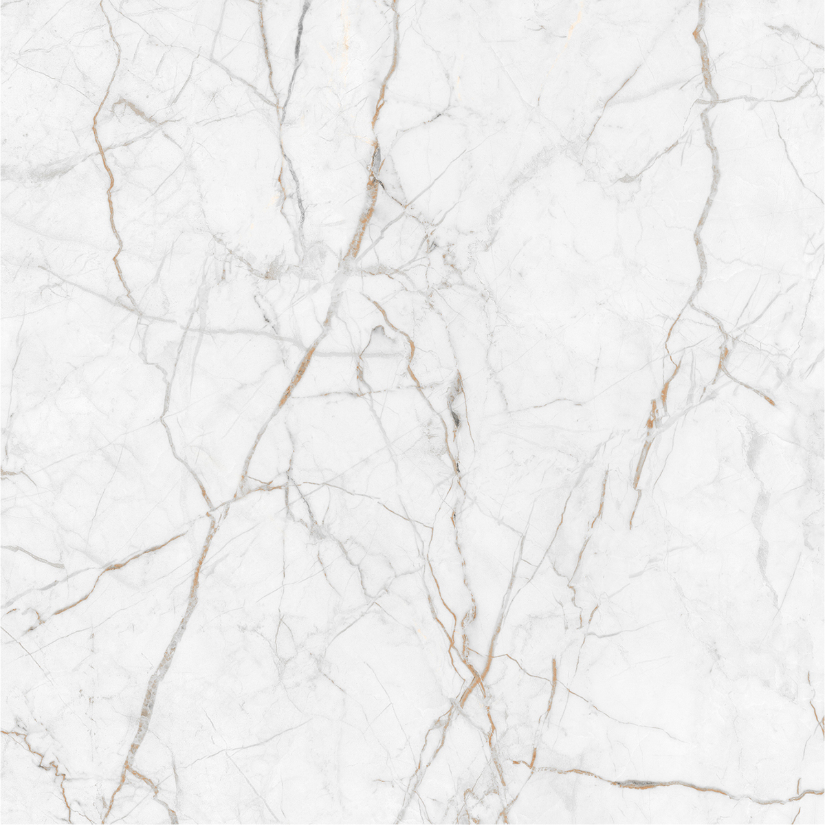 CORAL SILVER