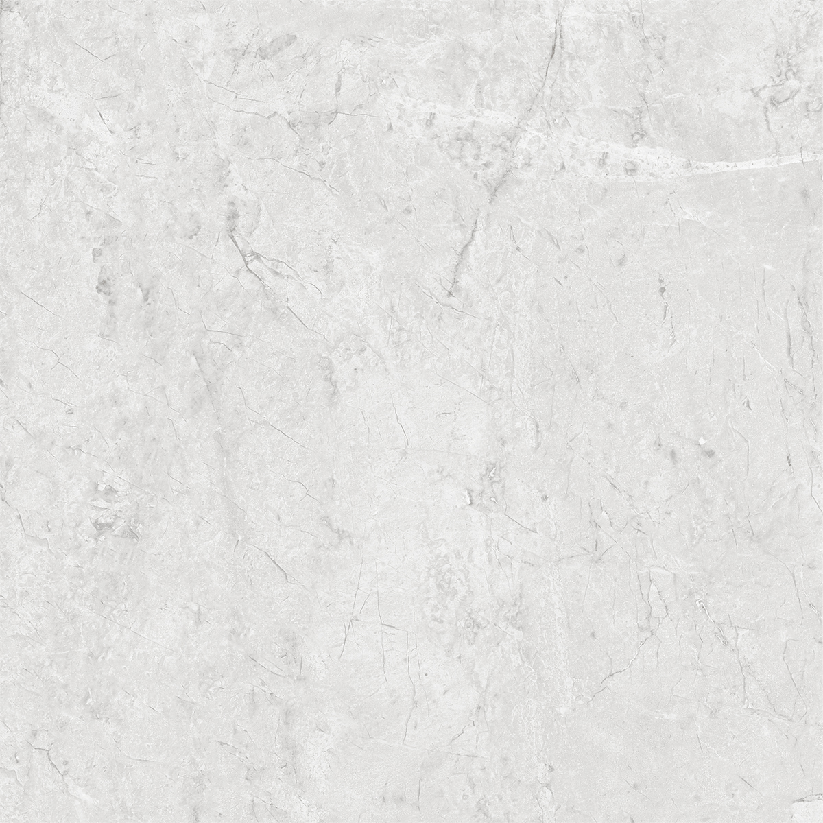 DIONE WHITE