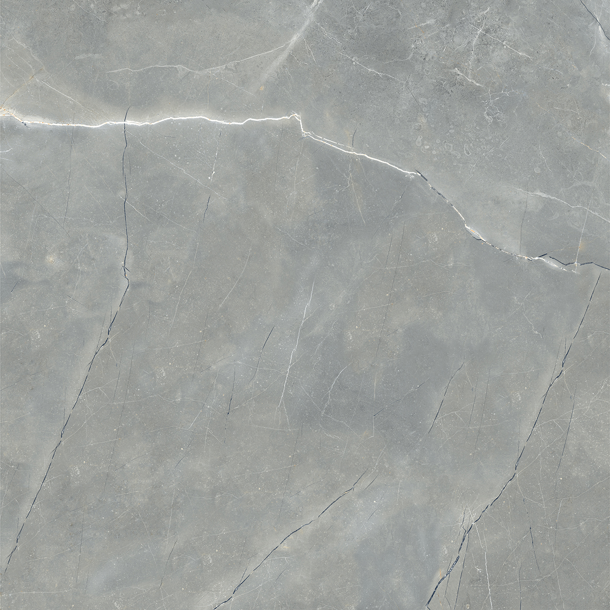 ECO PULPIS GREY