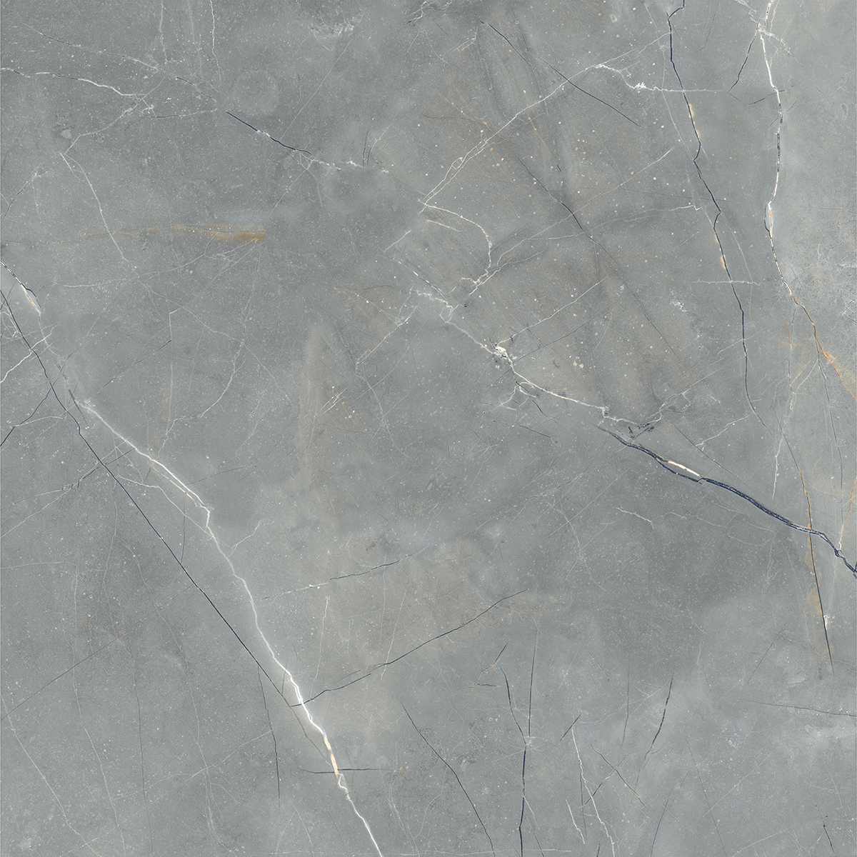 ECO PULPIS GREY
