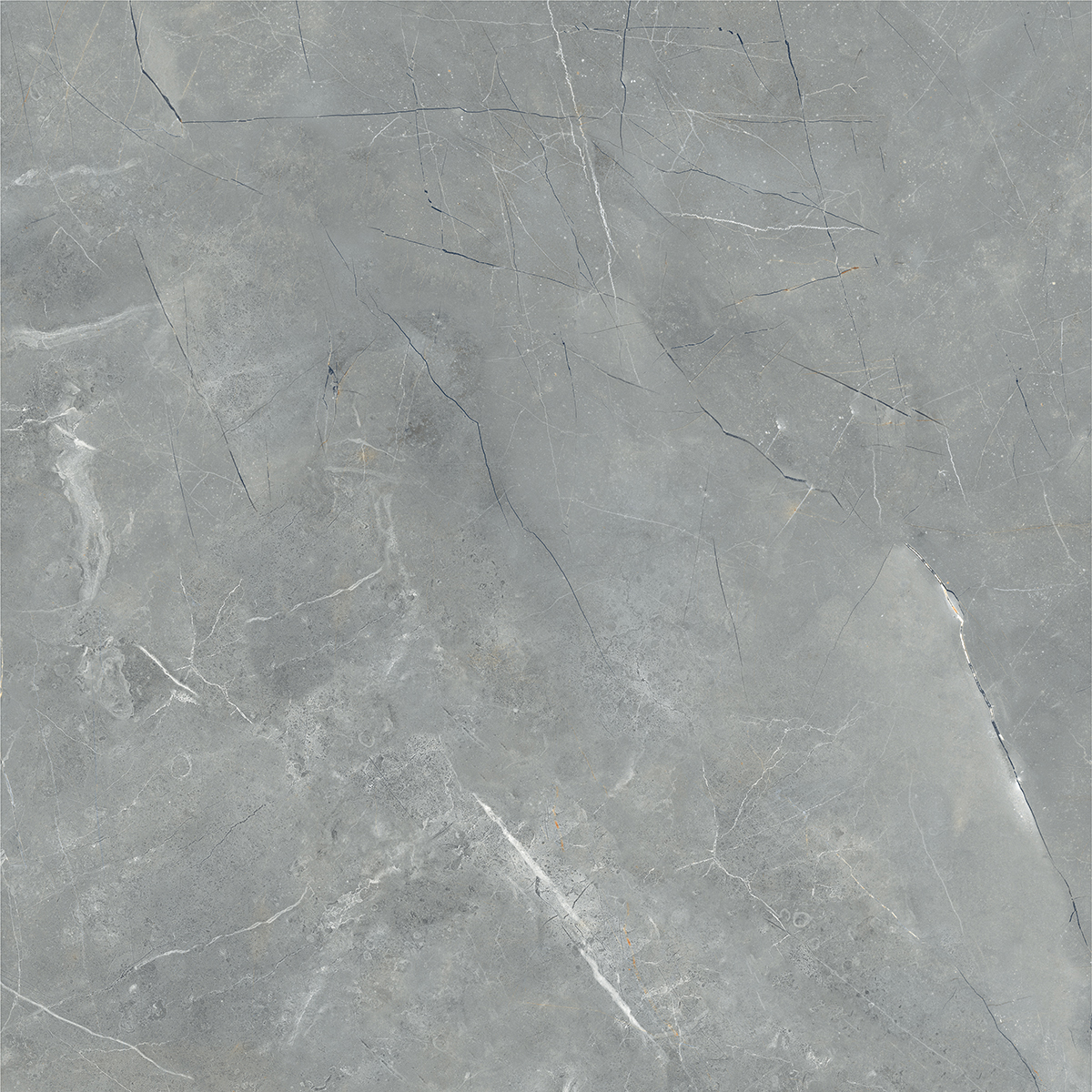 ECO PULPIS GREY