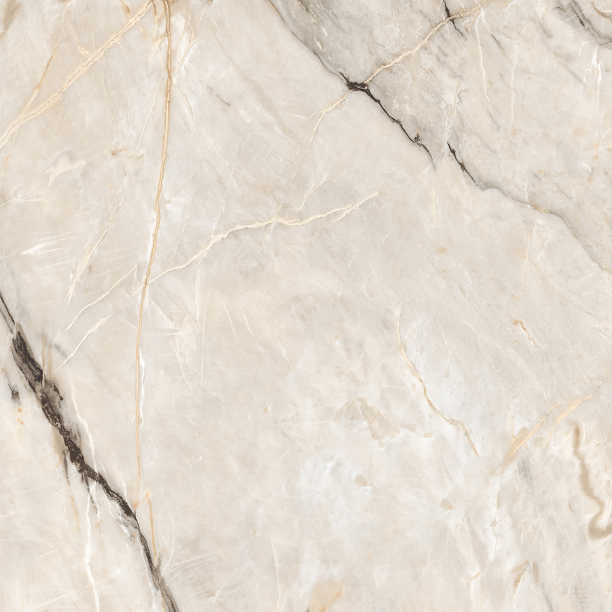 HERCULAS BEIGE