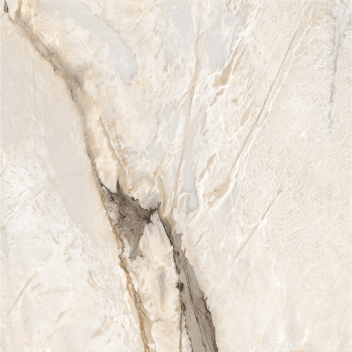 HERCULAS BEIGE