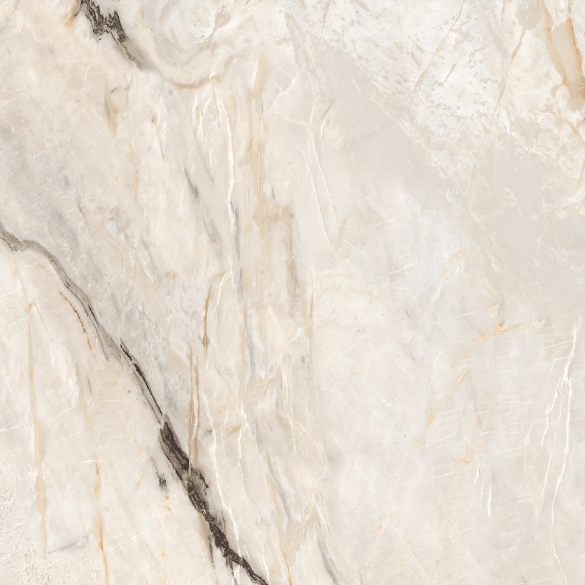 HERCULAS BEIGE