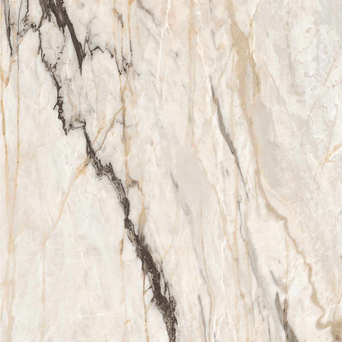 HERCULAS BEIGE