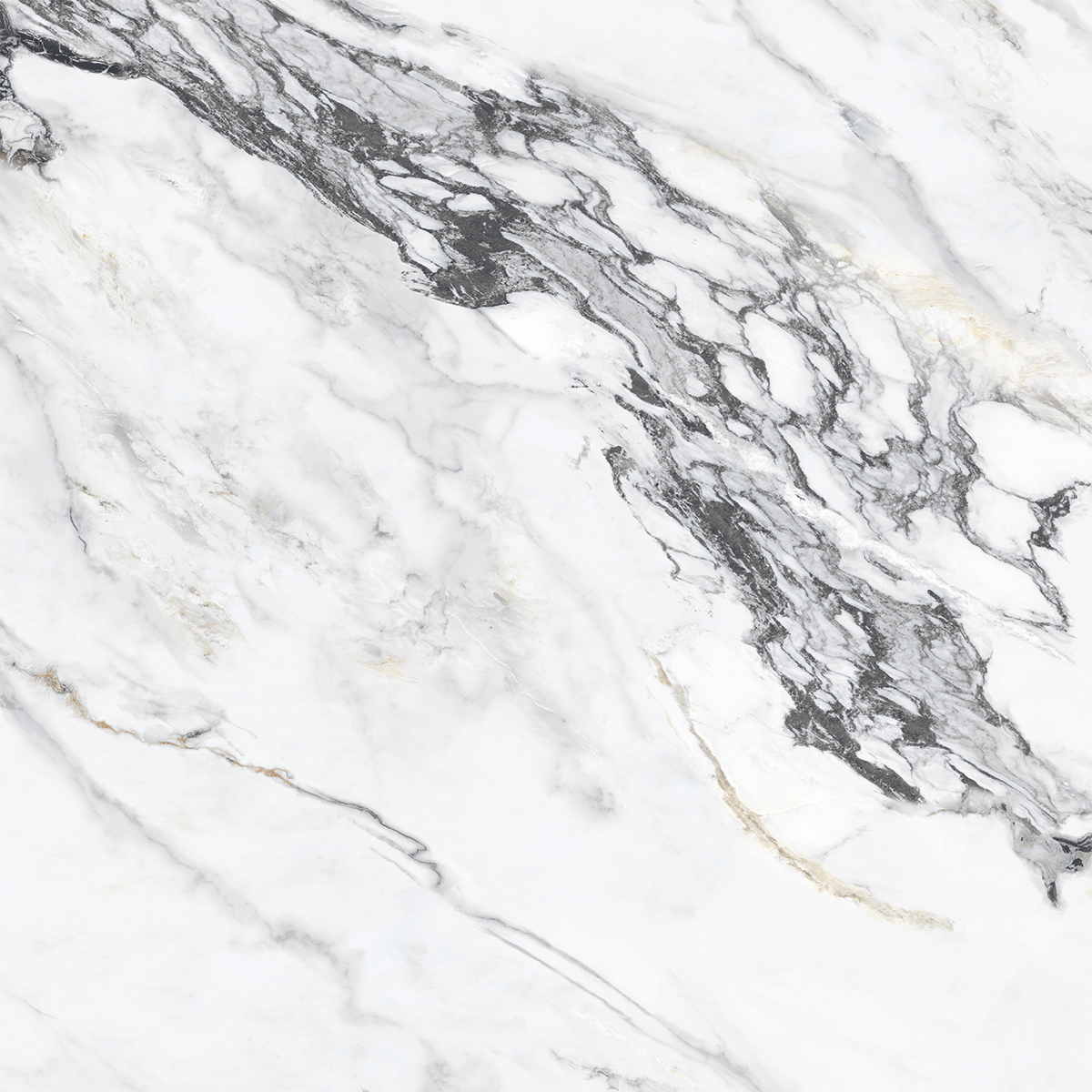 ILLUSION