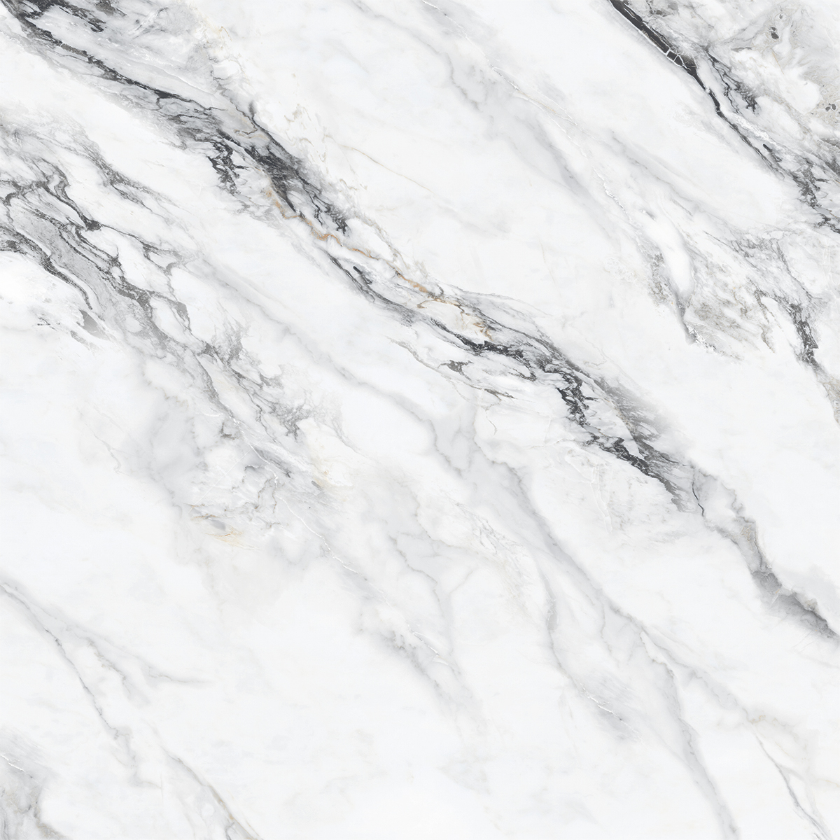 ILLUSION