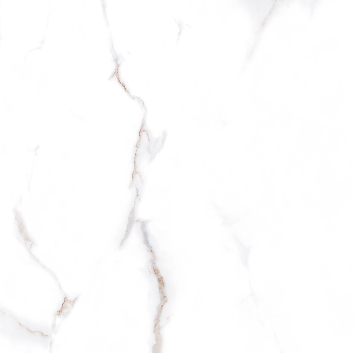 LILY WHITE