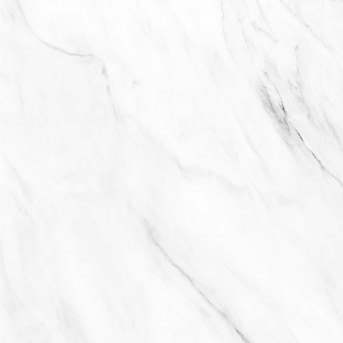 NOVELTY WHITE