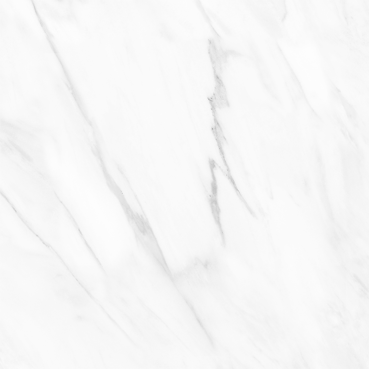 NOVELTY WHITE