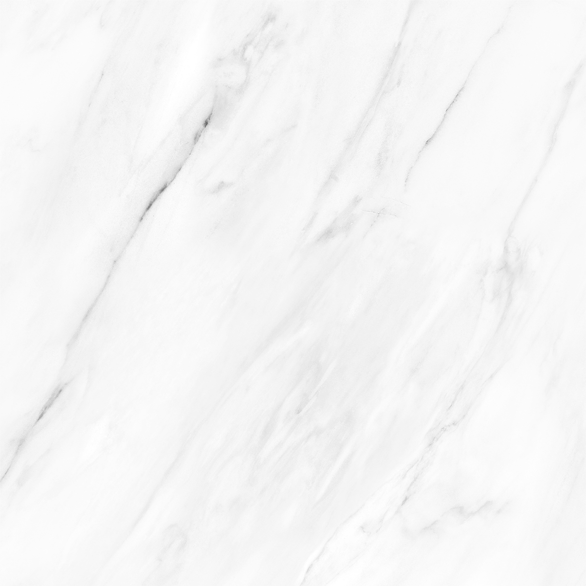 NOVELTY WHITE