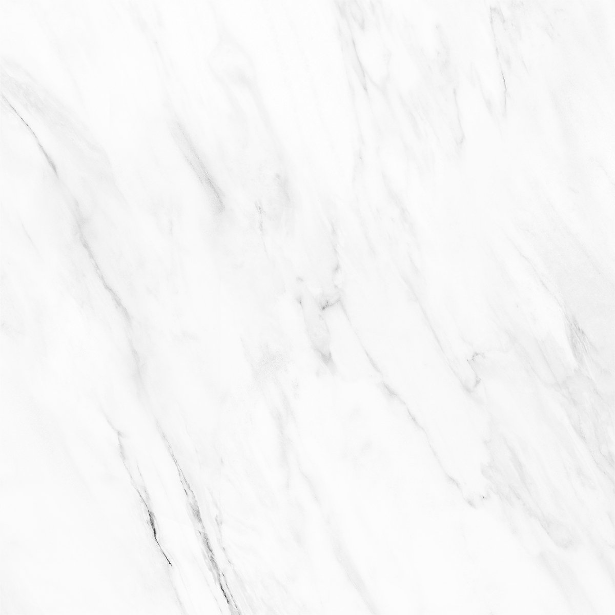 NOVELTY WHITE