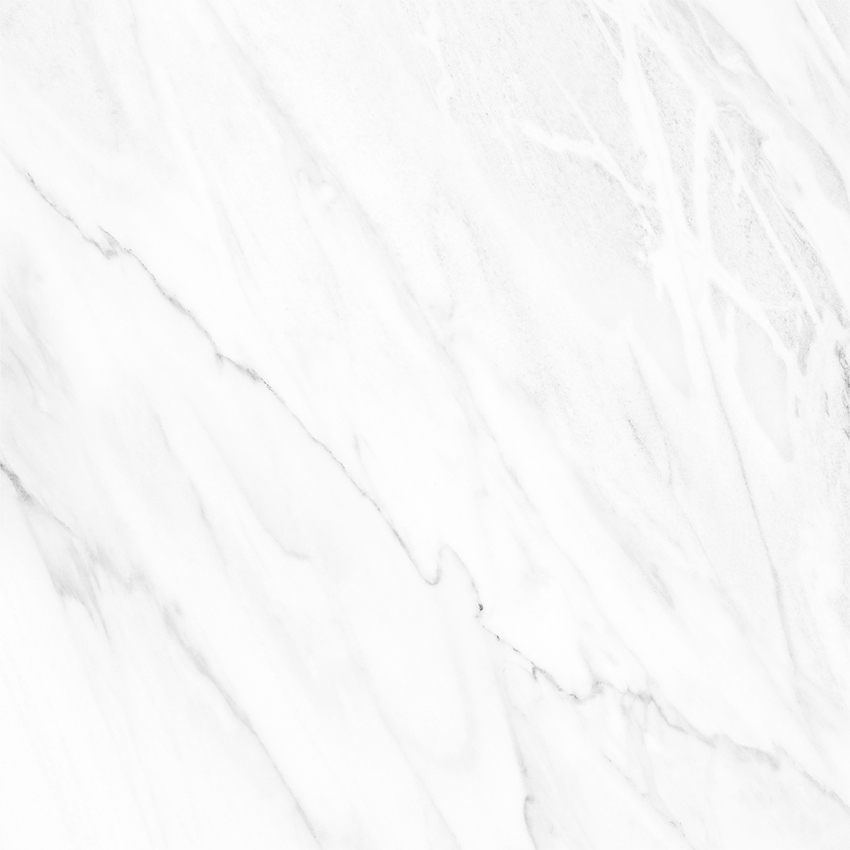 NOVELTY WHITE
