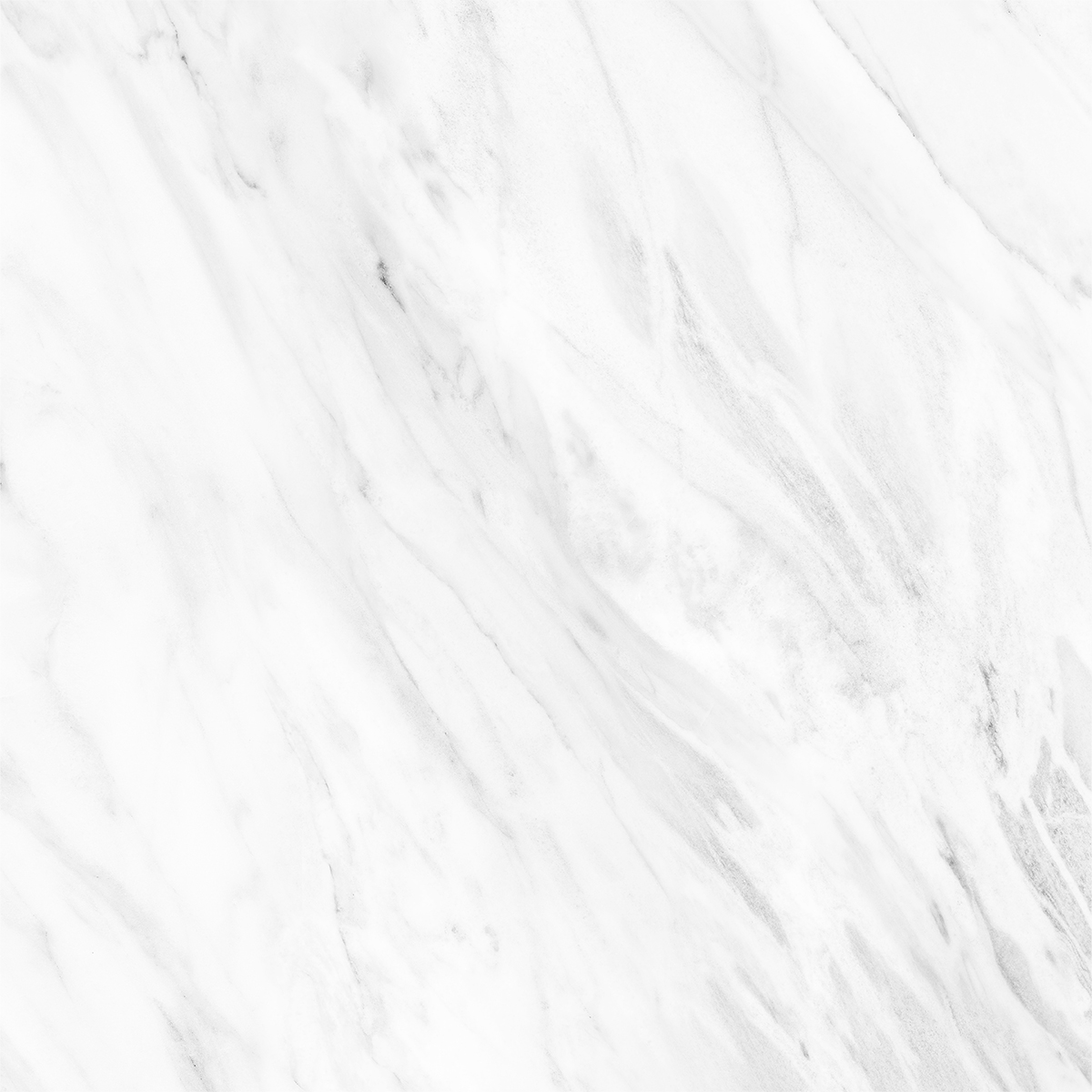 NOVELTY WHITE