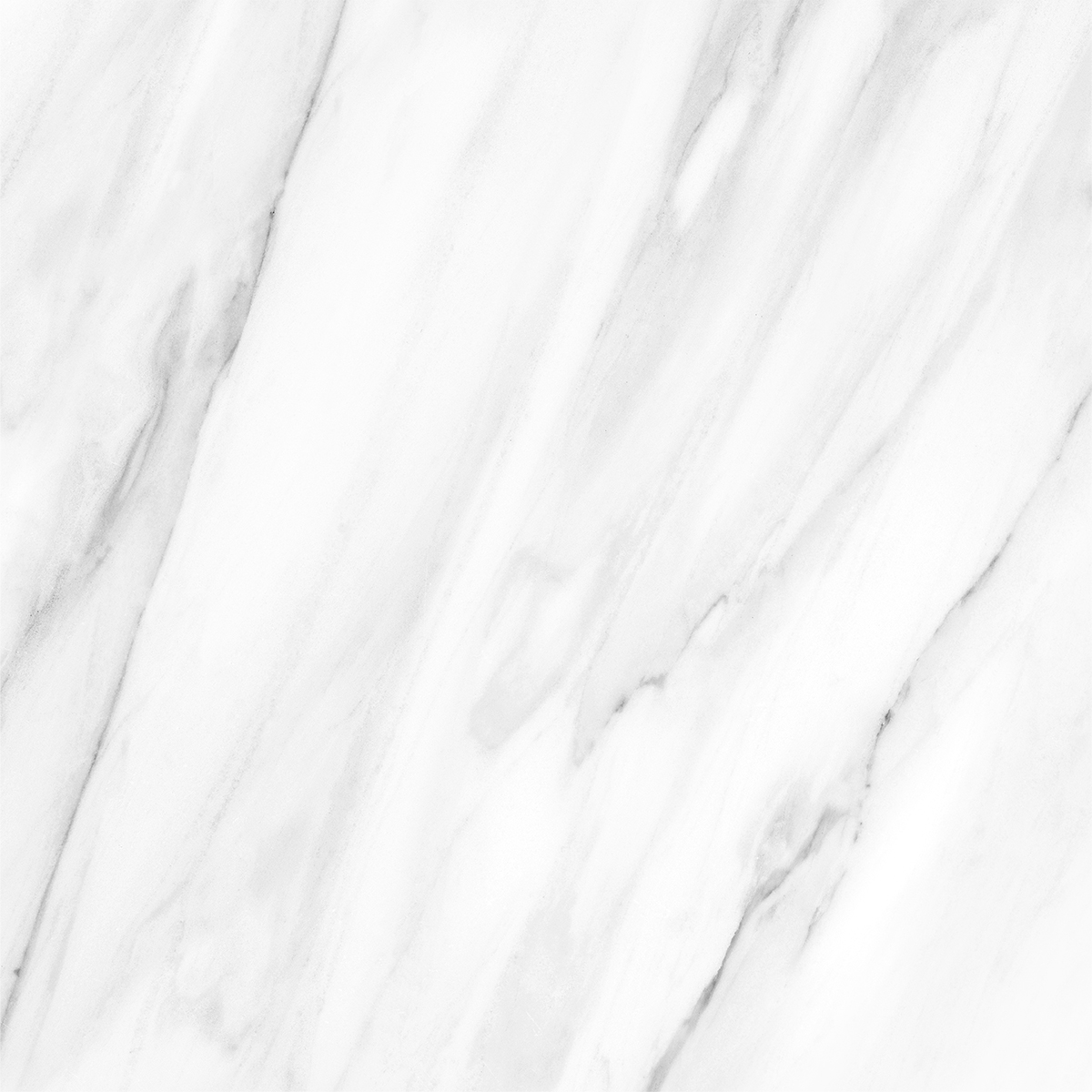 NOVELTY WHITE