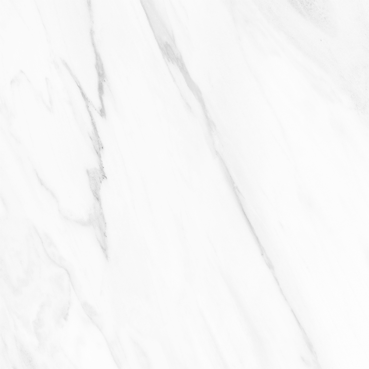 NOVELTY WHITE