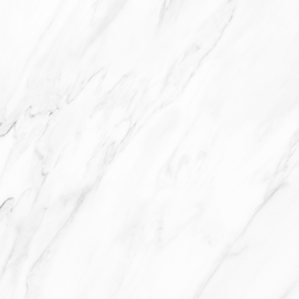 NOVELTY WHITE