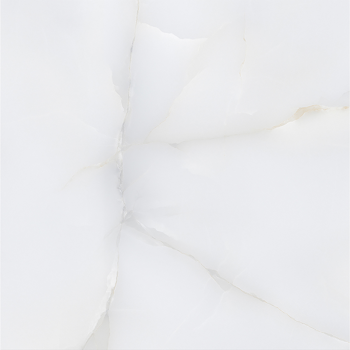 ONICE WHITE
