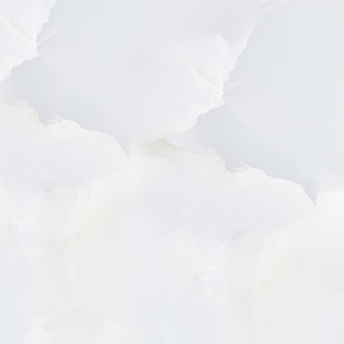 ONICE WHITE
