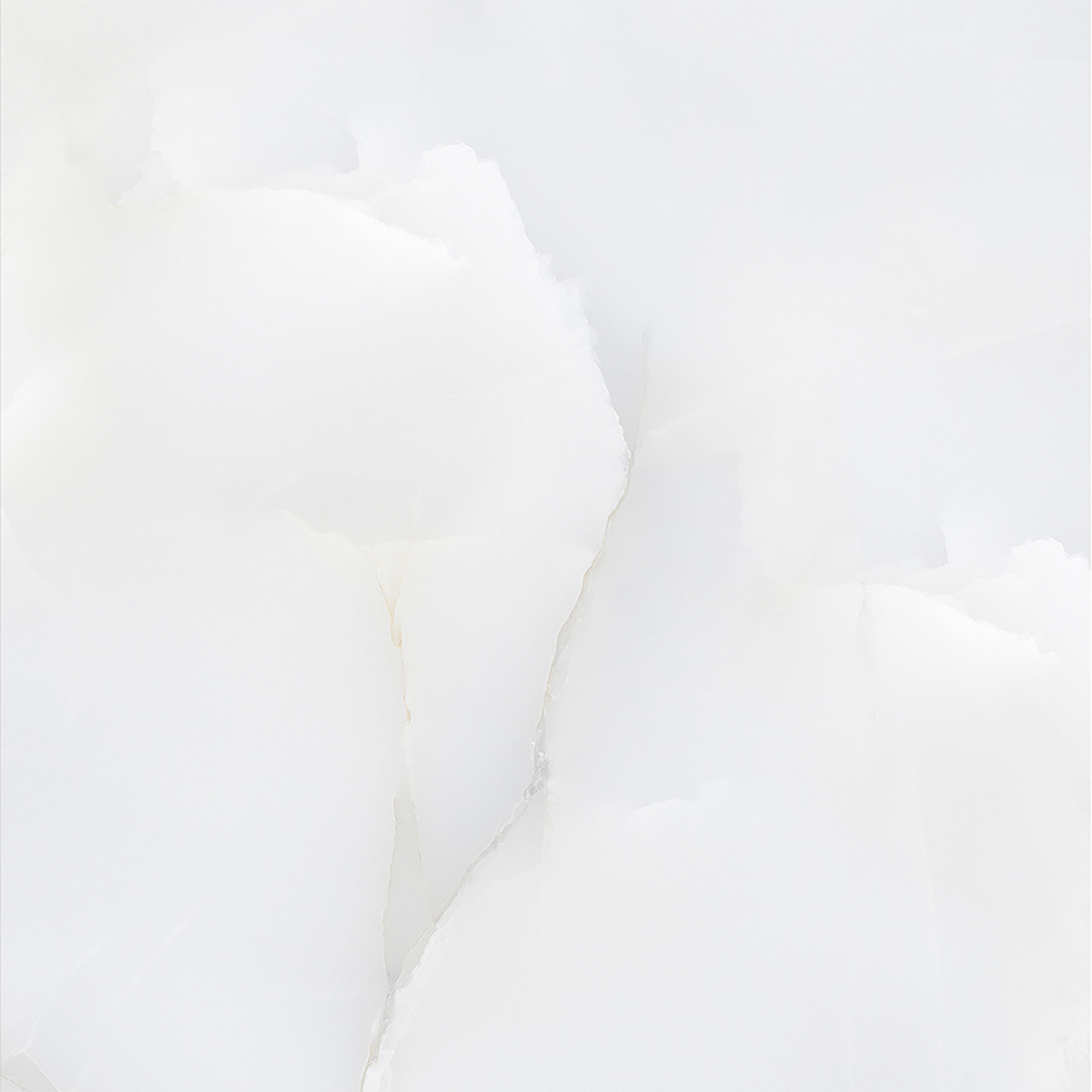 ONICE WHITE
