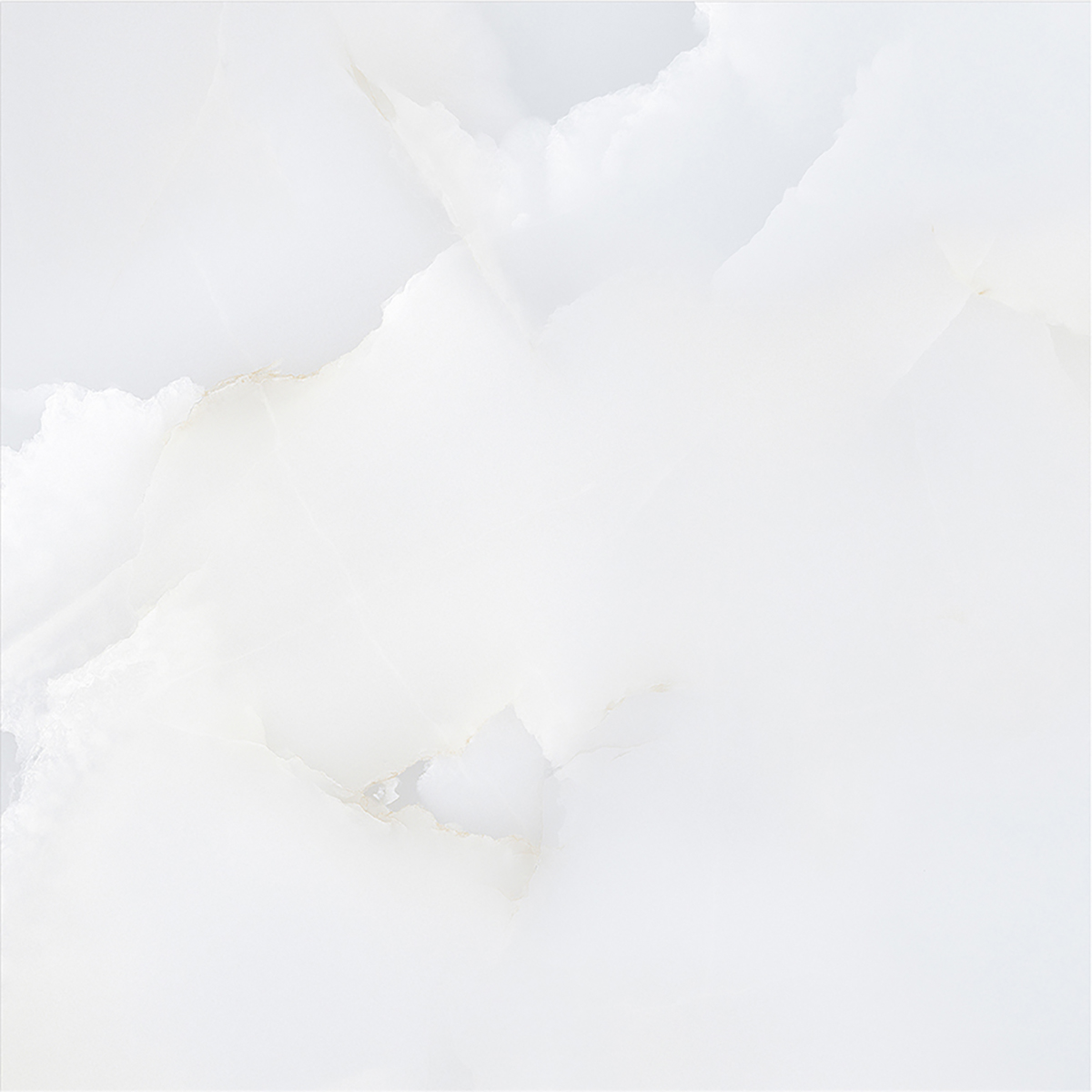 ONICE WHITE