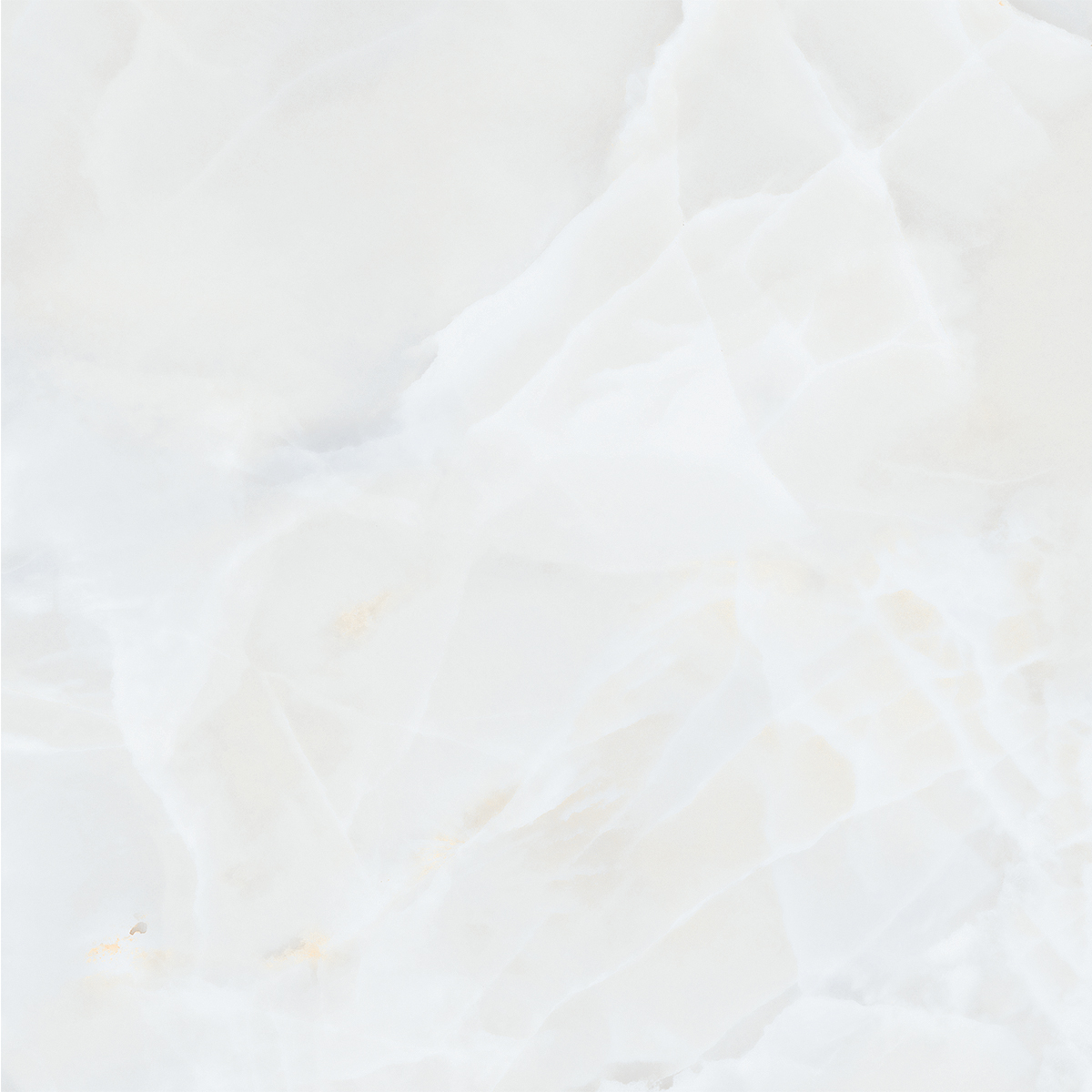ONIO WHITE