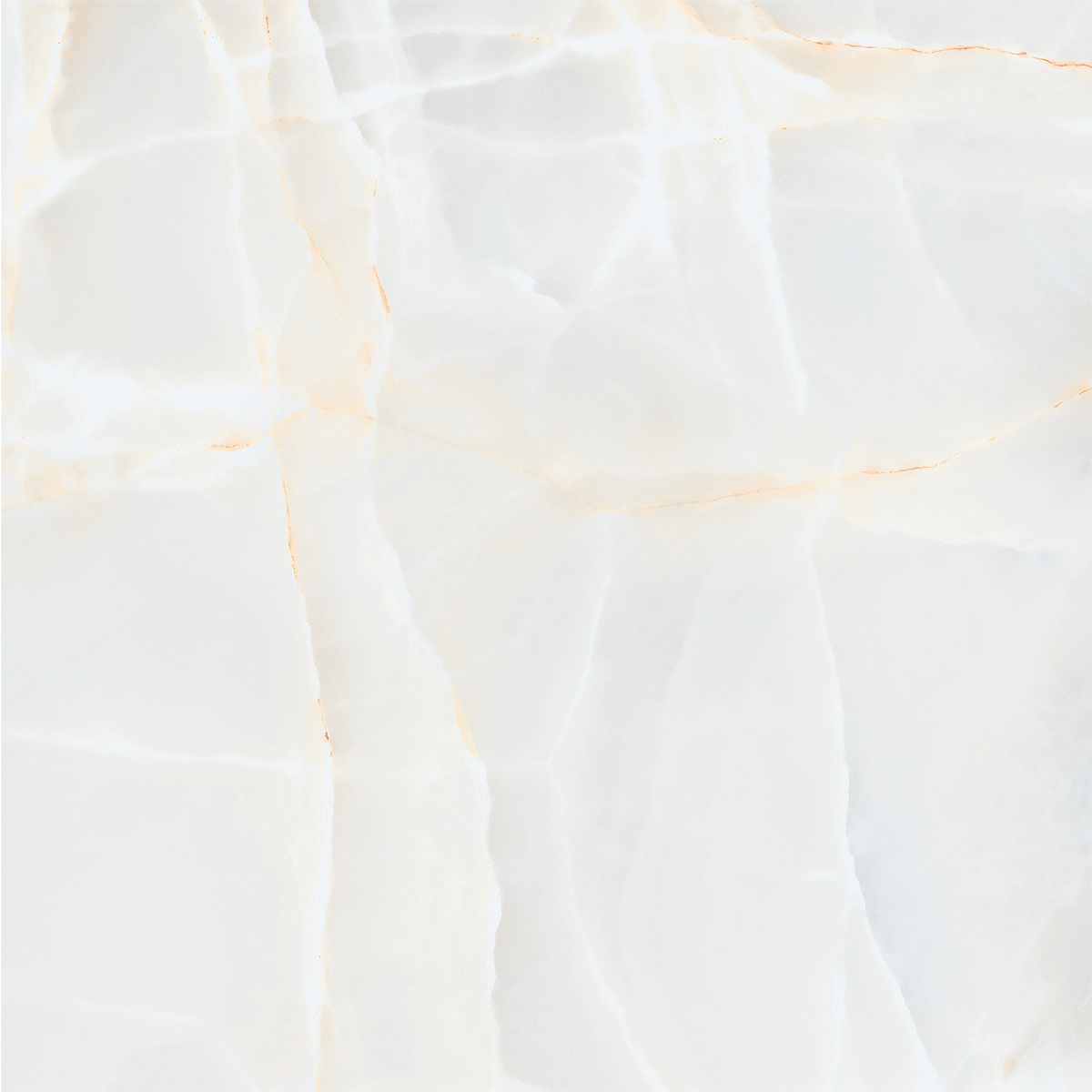 ONIO WHITE