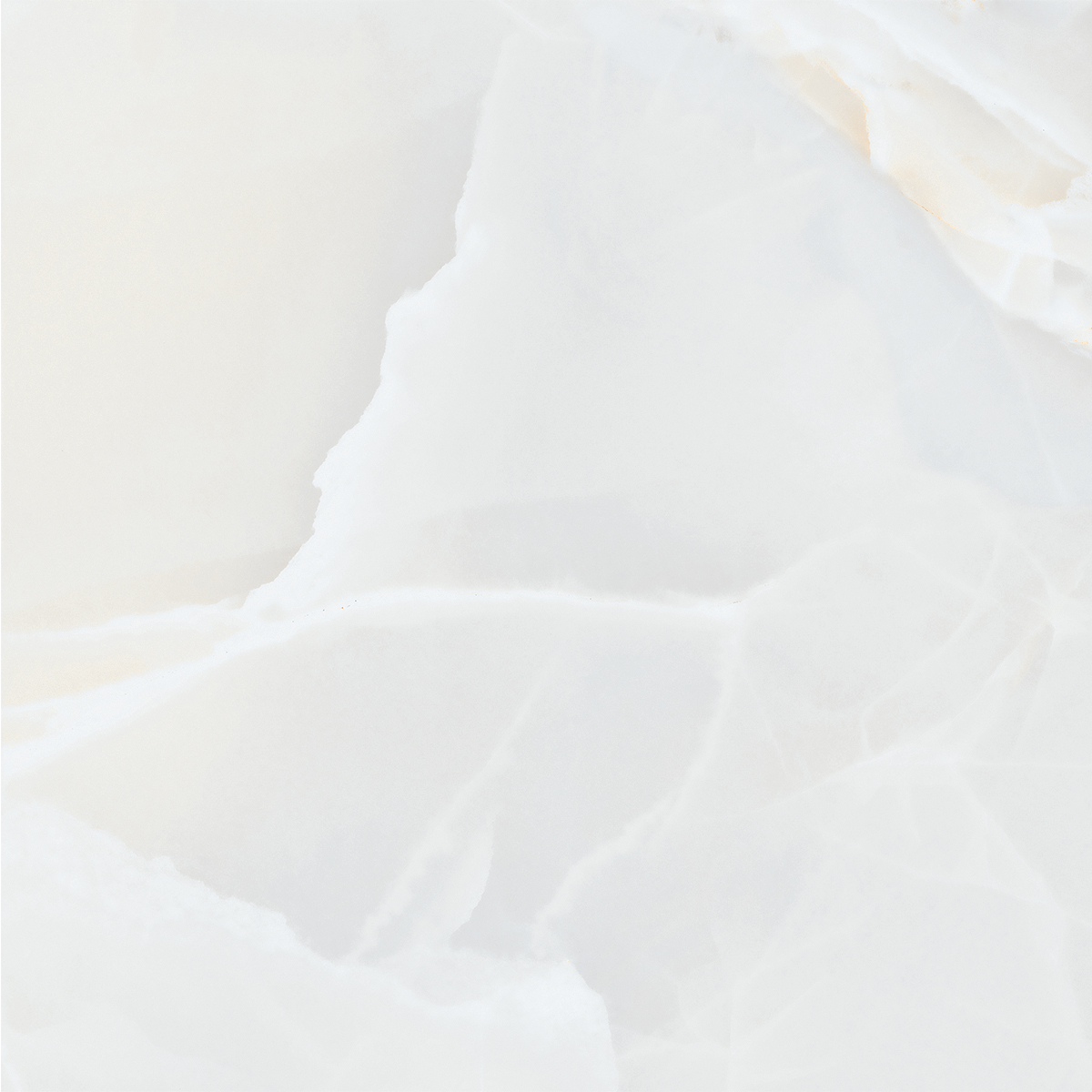 ONIO WHITE