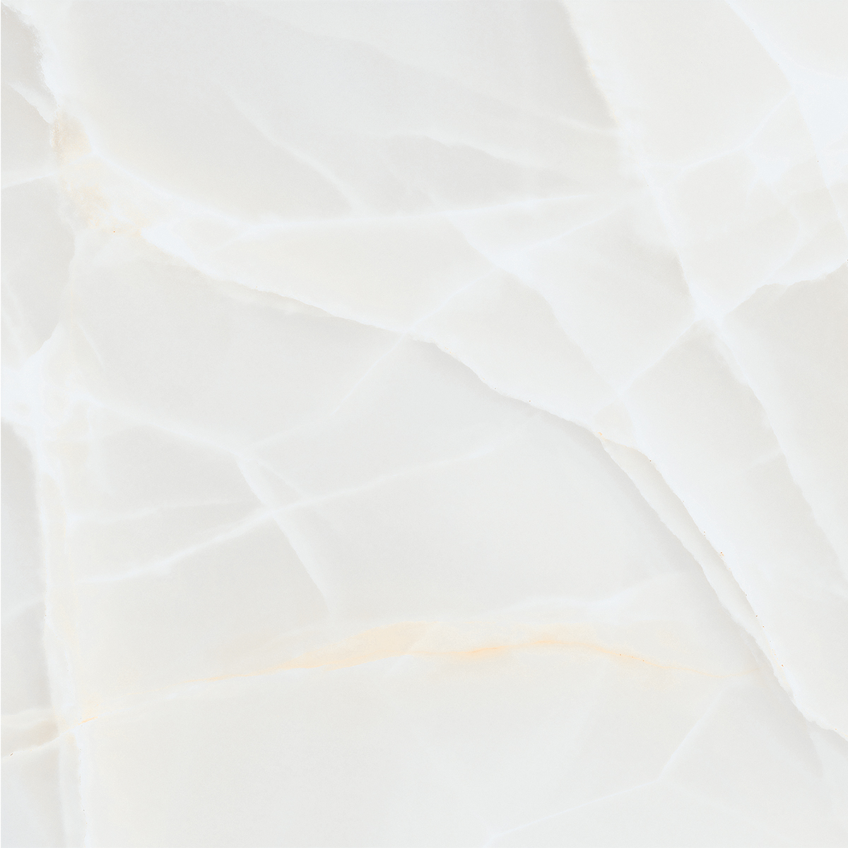 ONIO WHITE