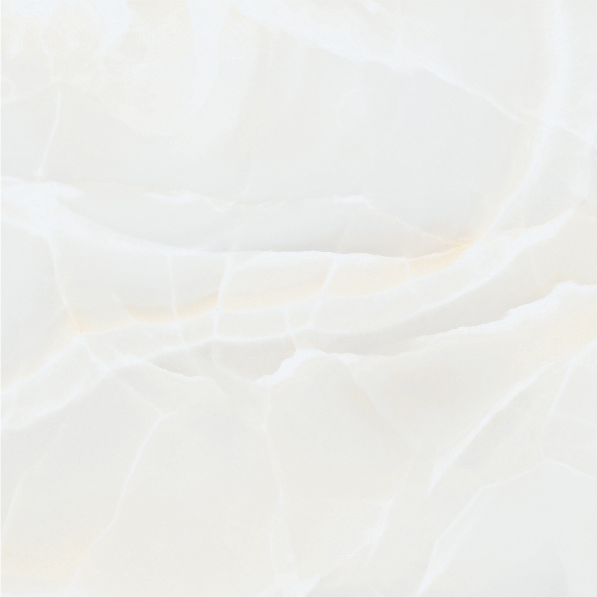 ONIO WHITE